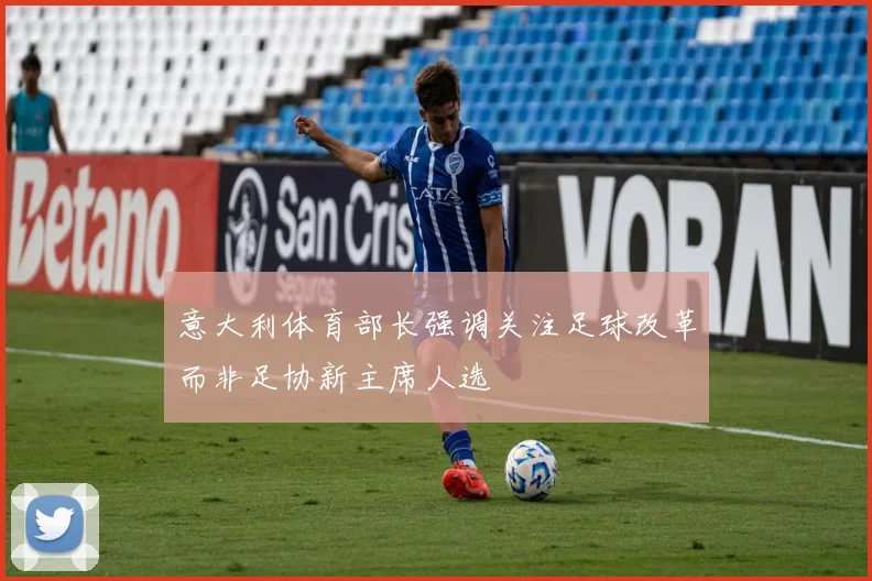 意大利体育部长强调关注足球改革而非足协新主席人选